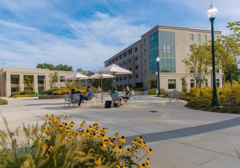American University